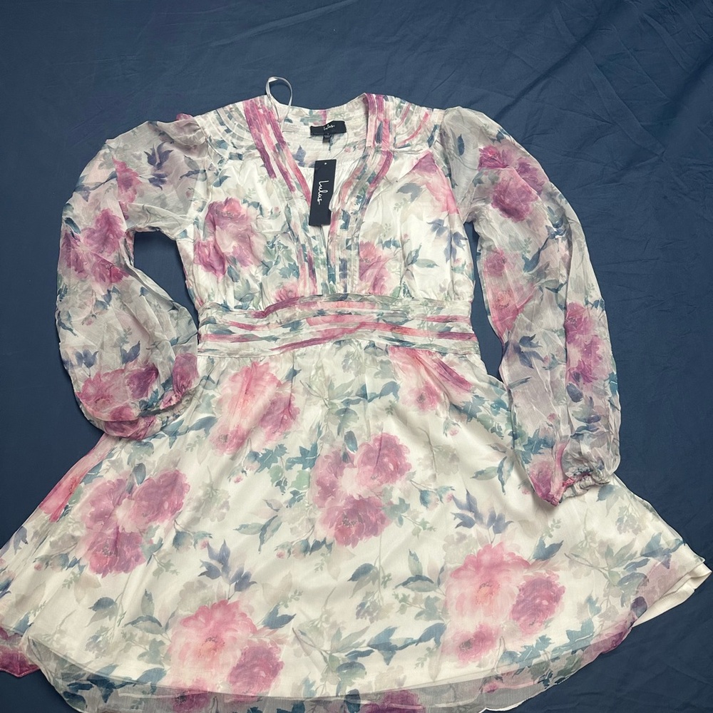 Lulu's Pastel Floral Sheer long sleeve dress